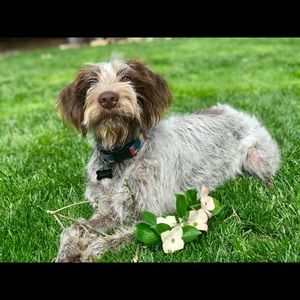 Meet your Posher, Jim